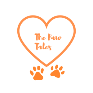 The Paw Tales Favicon